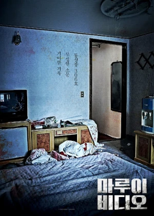 마루이 비디오