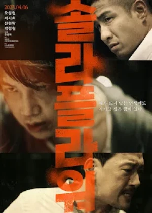 솔라 플라워