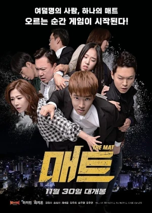 매트